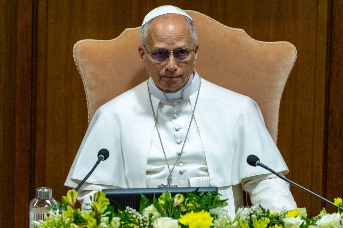 Papst Leo XIV bei einer Audienz