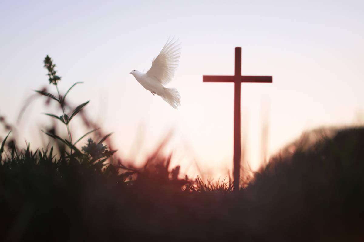 Kreuz und Taube beleuchtetes Kreuz steht auf einer Wiese, eine Taube fliegt vorbei.